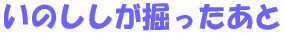 ̂@